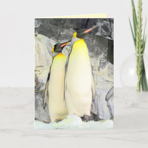 King Penguins Greeting Card