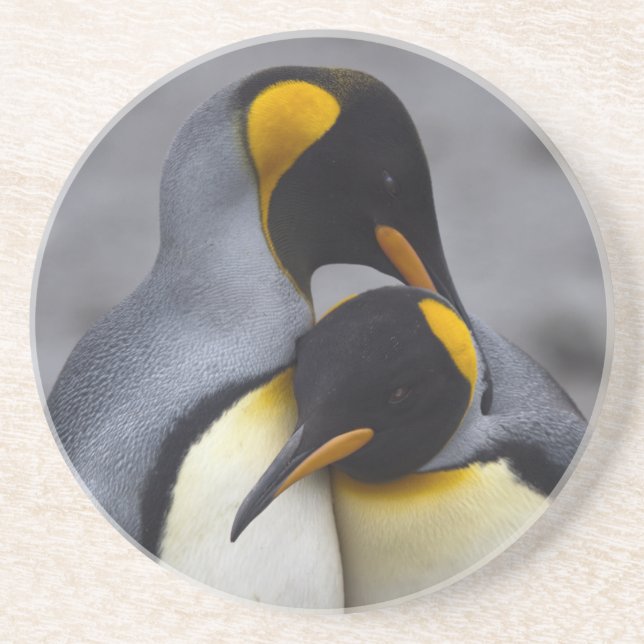 King Penguins in Love Coaster (Front)
