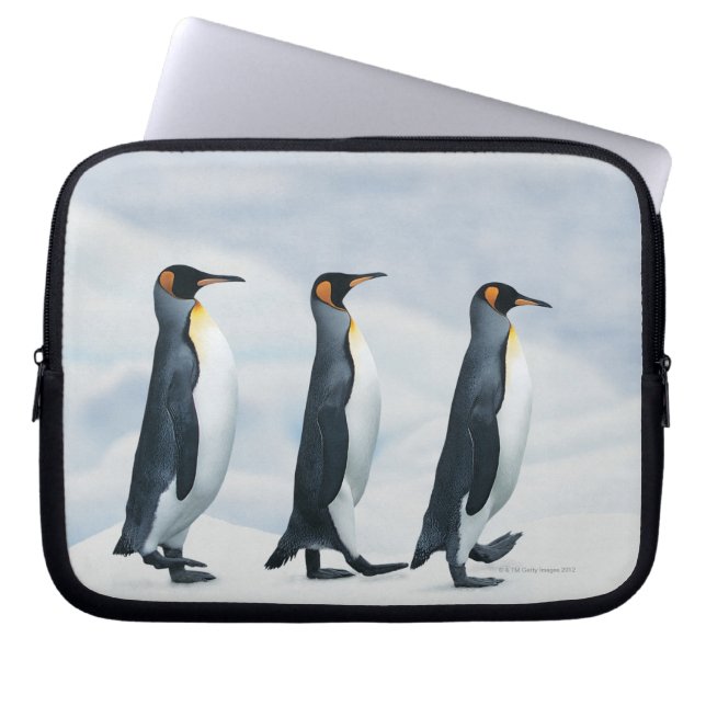 King Penguins Laptop Sleeve (Front)