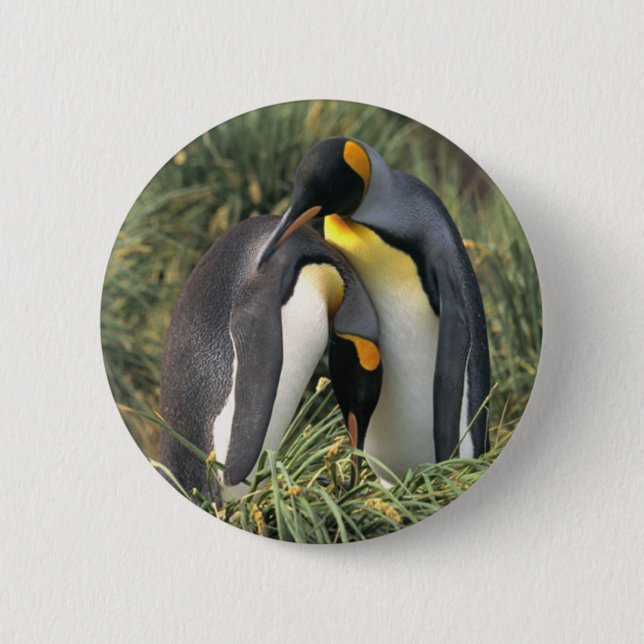 King penguins Lovers 6 Cm Round Badge (Front)