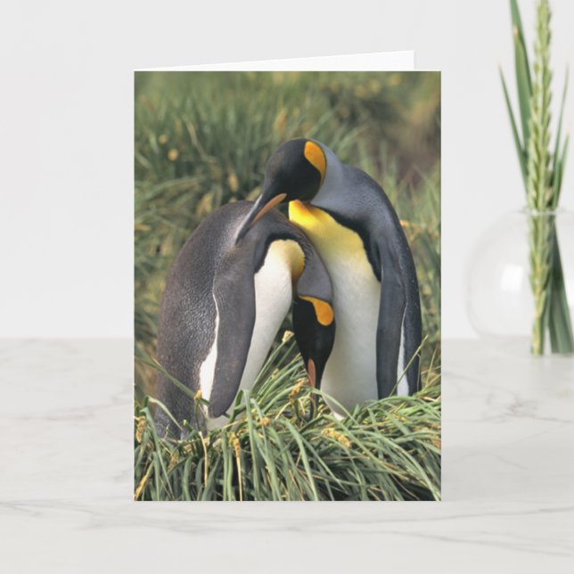 King penguins Lovers Card (Front)