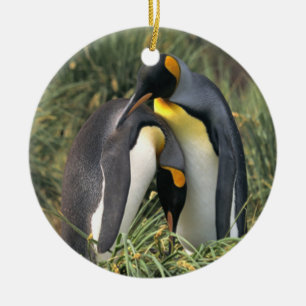 King penguins Lovers Ceramic Tree Decoration