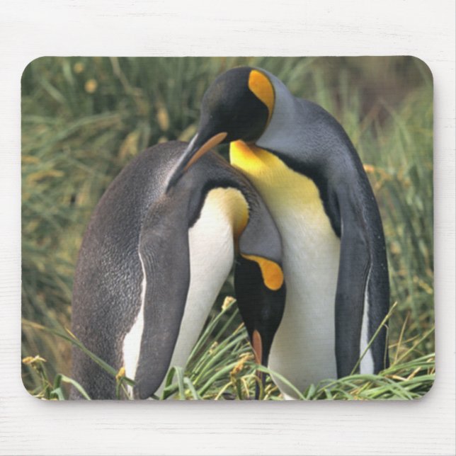 King penguins Lovers Mouse Pad (Front)