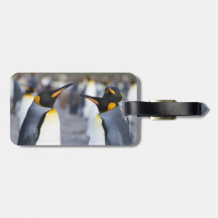King Penguins Luggage Tag