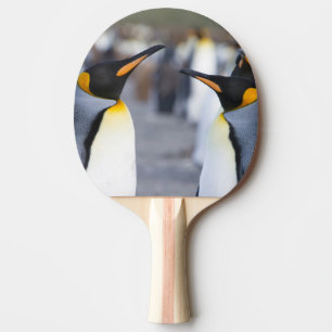 King Penguins Ping Pong Paddle