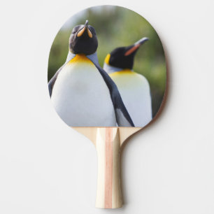 King penguins ping pong paddle