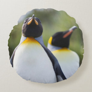King penguins round cushion