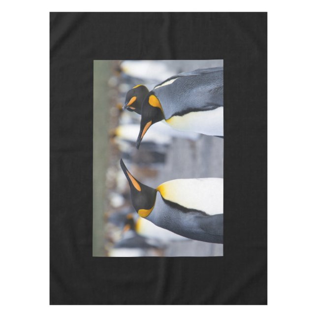 King Penguins Tablecloth (Front)