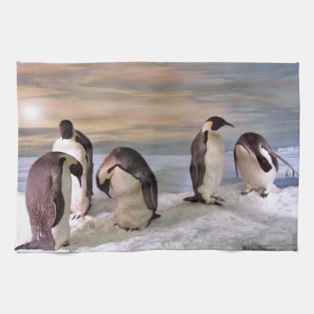 King penguins tea towel (Horizontal)