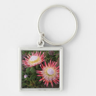 King Protea (Protea Cynaroides), Helderberg Key Ring