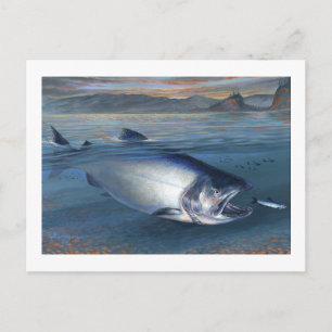 King Salmon Postcard