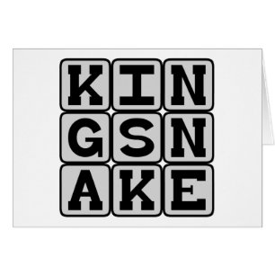 King Snake, Slithering Reptile