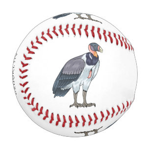 King vulture bird cartoon illustration baseball