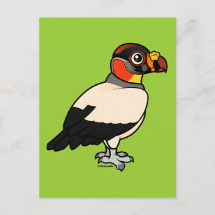 King Vulture Postcard