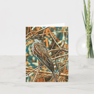 Kingbird - Thank You Card