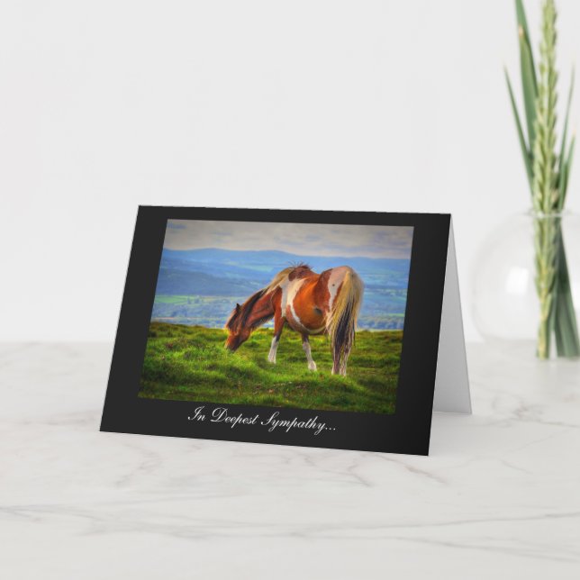Kingdom of the Pony - In Sympathy Card (Front)