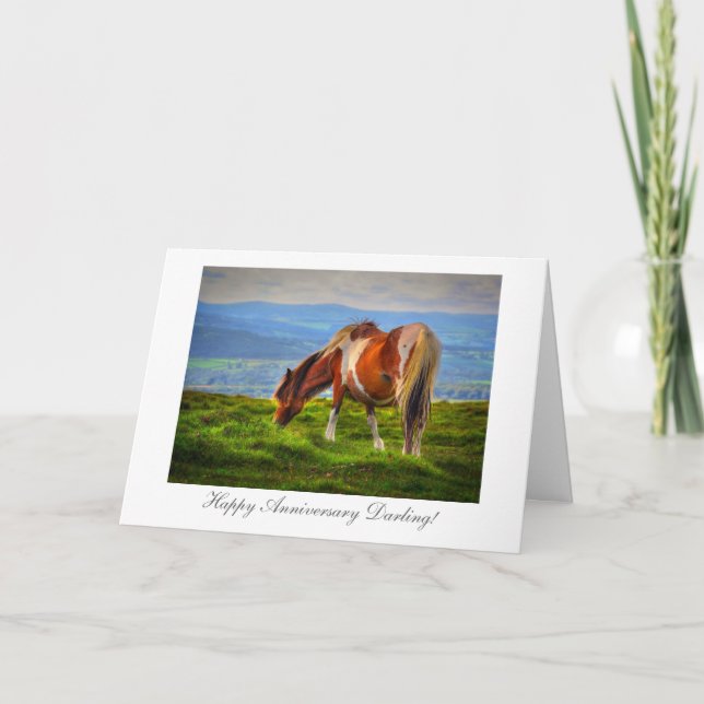 Kingdom of the Pony - Wedding Anniversary Card (Front)
