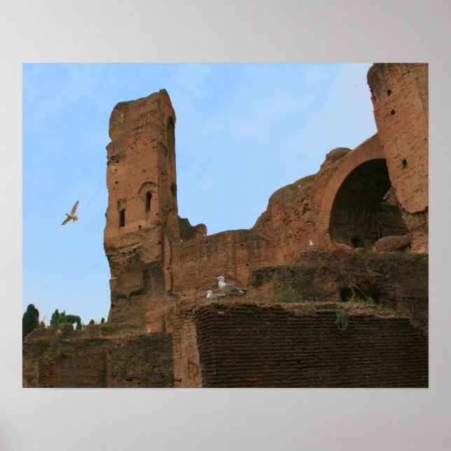 Kingdom of the Seagulls Poster (Front)