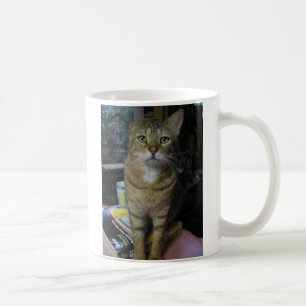 kingfish coffee mug
