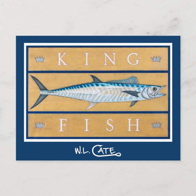Kingfish Postcards (Front)