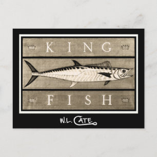 Kingfish Vintage Black & White Postcards