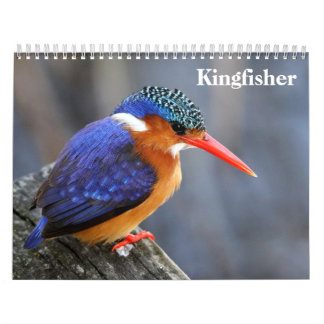 Kingfisher 2027 calendar