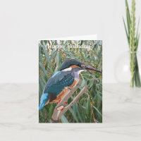 Kingfisher and Willow editable Birthday