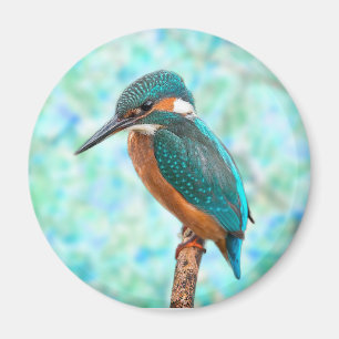 Kingfisher Bird Blue Abstract Magnet
