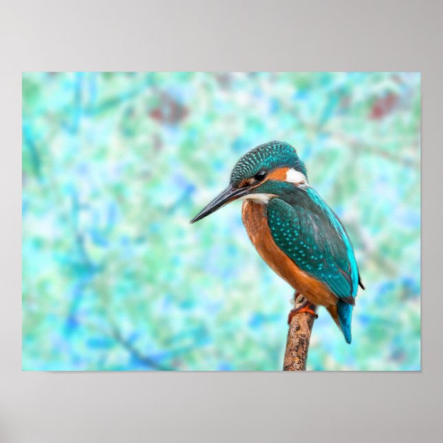 Kingfisher Bird Blue Abstract Poster (Front)