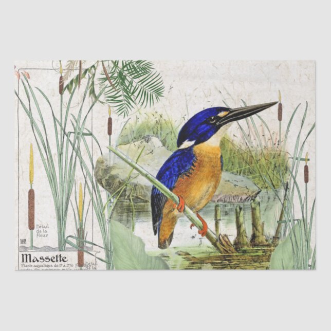 Kingfisher Bird Cattail Pond Wildlife Tissue Paper (Front)