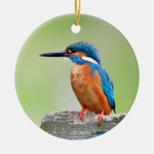 Kingfisher bird ceramic ornament