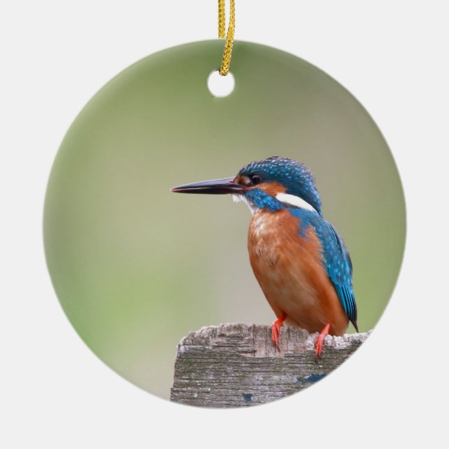 Kingfisher bird. ceramic tree decoration (Front)
