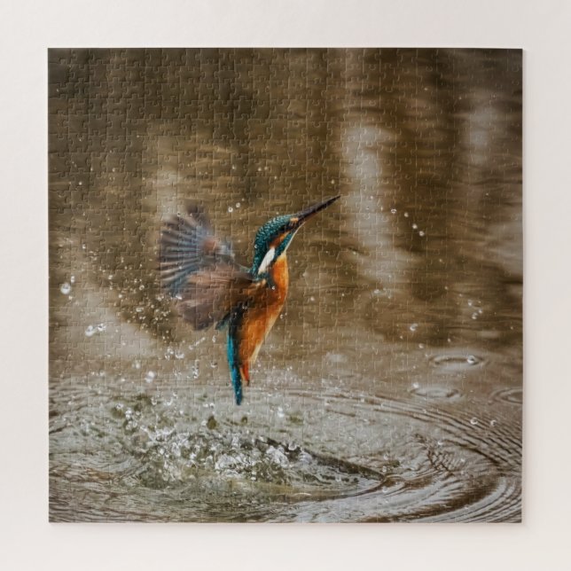 Kingfisher Bird Coming out of Water Photo Jigsaw Puzzle (Vertical)