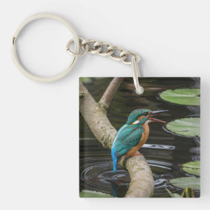 Kingfisher Bird Key Ring