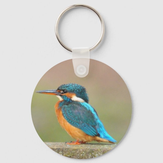 Kingfisher Bird Keychain (Front)
