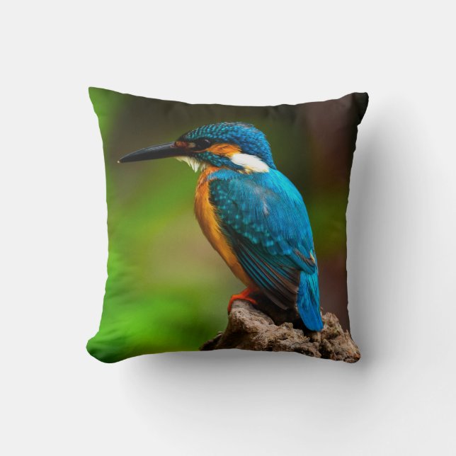 Kingfisher bird nature pillow (Front)