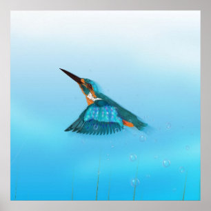 kingfisher Bird Poster