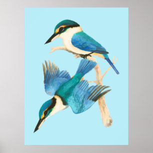 Kingfisher Birds Blue Watercolor Poster