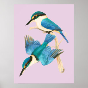 Kingfisher Birds Pink Watercolor  Poster