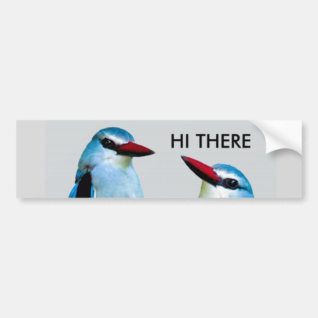 Kingfisher Birds South Africa Bumper Sticker (Front)