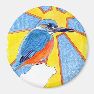 kingfisher (blue bird) magnet
