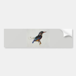 Kingfisher (by John Ruskin) Bumper Sticker