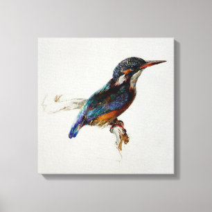 Kingfisher (by John Ruskin) Canvas Print
