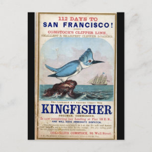 Kingfisher Clipper sailing ship 1855 Postcard