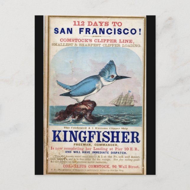Kingfisher Clipper sailing ship 1855 Postcard (Front)