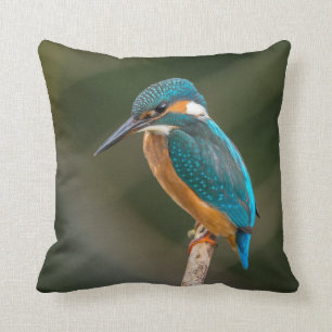 Kingfisher Cushion