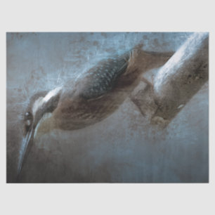 Kingfisher Decoupage Tissue Paper