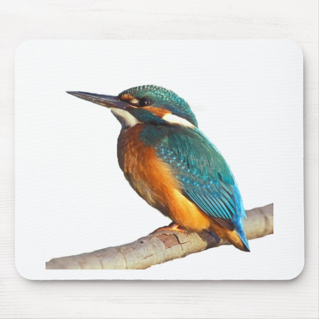 "Kingfisher" design products Mouse Pad (Front)