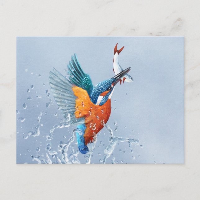 Kingfisher flying out of the water postcard (Front)