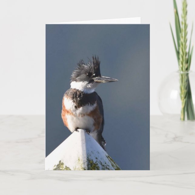 Kingfisher - Frameable Art Card (Front)